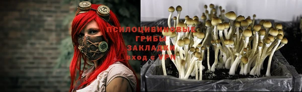 гидропоника Бугульма