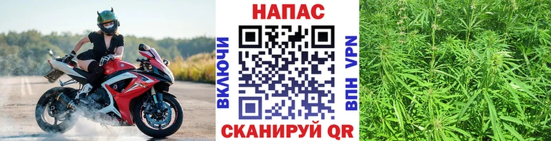 что такое   Липки  Конопля White Widow 